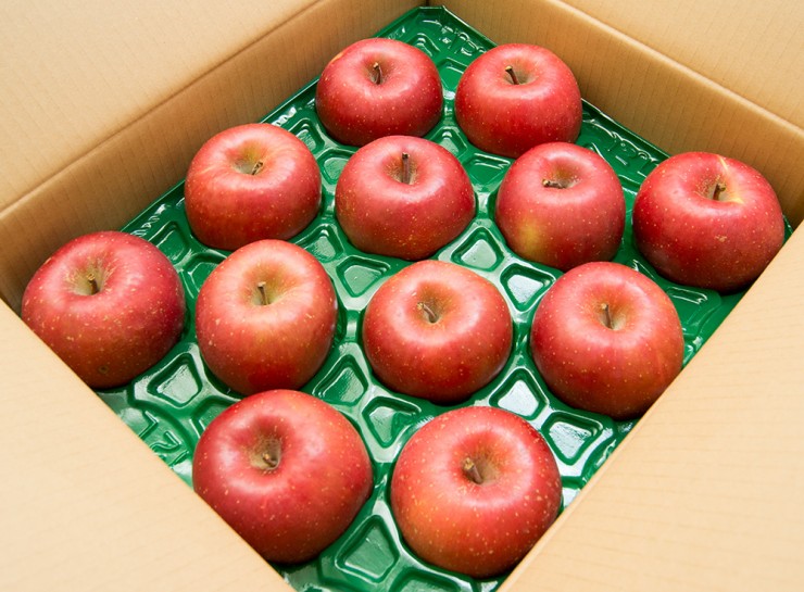 外川さん家のりんご　【サンふじ】（5kg）